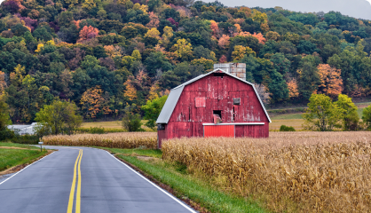 barn in countryside